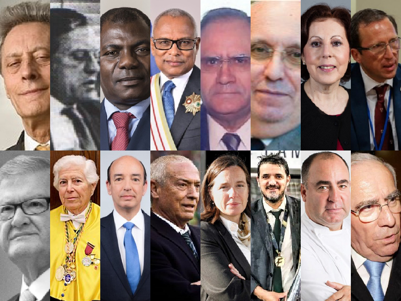 Professores Honorários e Especialistas